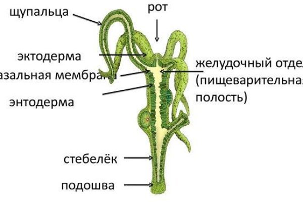 Бошки телеграмм