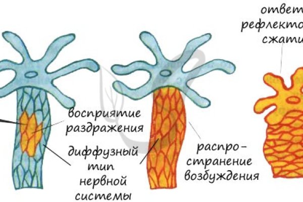 Ссылки зеркала крамп