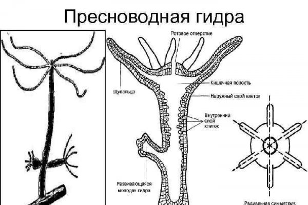 Кракен вход ссылка kramp.cc